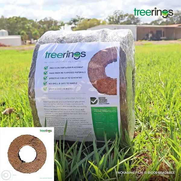 Treerings Standard- Pack Of 4