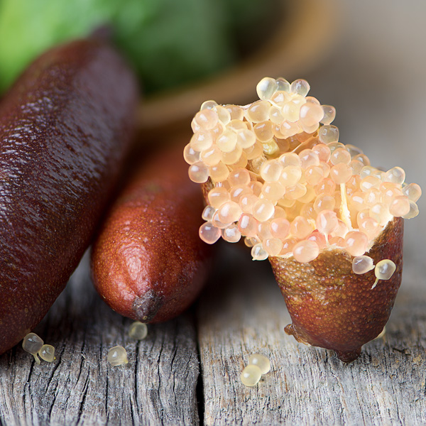 Finger Lime Pink Ice