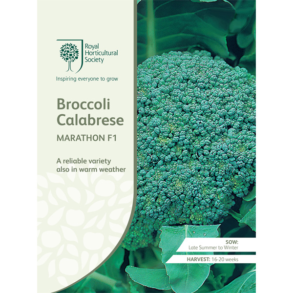 Seed – Rhs Broccoli Calabrese Marathon F1