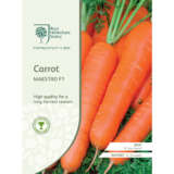 Seed Rhs Carrot Maestro F1 Seerhscms - Garden Express Australia