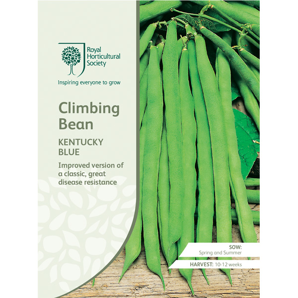 Seed – Rhs Climbing Bean Kentucky Blue
