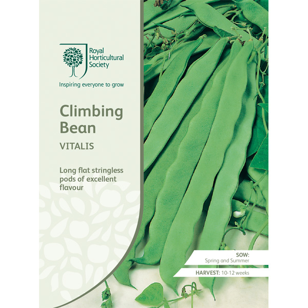 Seed – Rhs Climbing Bean Vitalis
