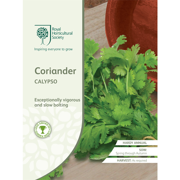 Seed – Rhs Coriander Calypso
