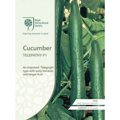 Seed Rhs Cucumber Telepathy F1 Seerhsctp - Garden Express Australia