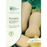Seed Rhs Pumpkin Butternut Hunter F1 Seerhspbh - Garden Express Australia
