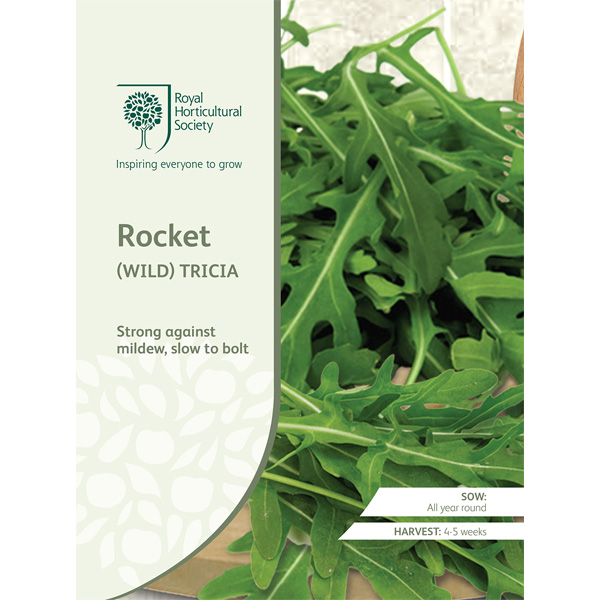 Seed – Rhs Rocket (wild) Tricia