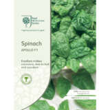 Seed – Rhs Spinach Apollo F1