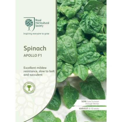 Seed Rhs Spinach Apollo F1 Seerhssap - Garden Express Australia