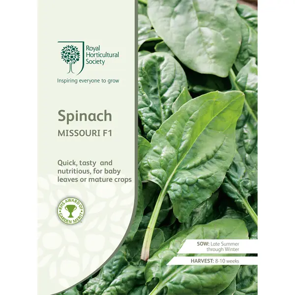 Seed – Rhs Spinach Missouri F1 Seed – Rhs Spinach Missouri F1