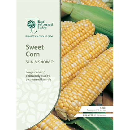 Seed Rhs Sweet Corn Sun Snow F1 Seerhsscsn - Garden Express Australia