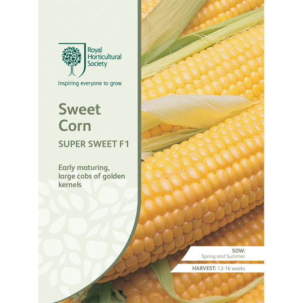 Seed – Rhs Sweet Corn Super Sweet F1