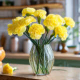 Carnation Sonia Carnation Sonia