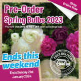 Spring Bulb Pre-Order 2023