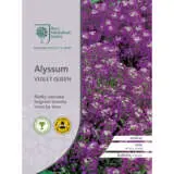 Seed – Rhs Alyssum Violet Queen Seed – Rhs Alyssum Violet Queen