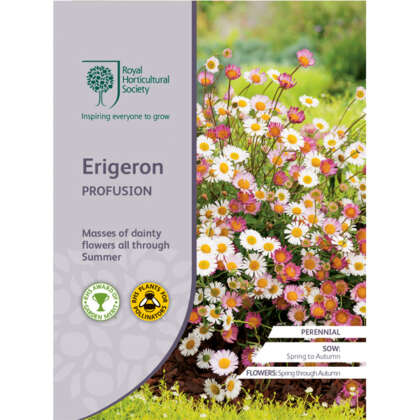 Rhs Erigeron Profusion Seerhsepr - Garden Express Australia
