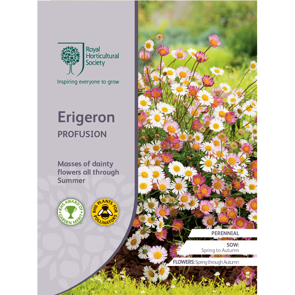Seed – Rhs Erigeron Profusion
