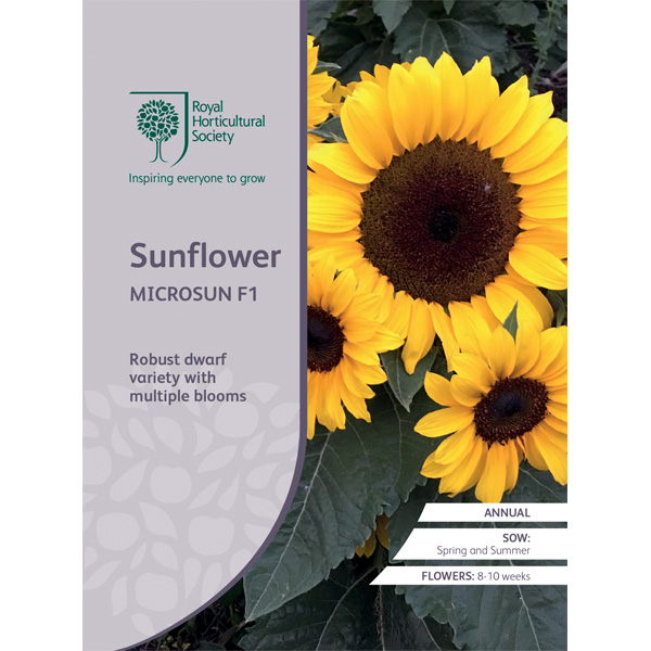Seed – Rhs Sunflower Microsun F1
