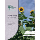 Seed – Rhs Sunflower Tall Timber F1