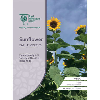 Rhs Sunflower Tall Timber F1 Seerhsstt - Garden Express Australia