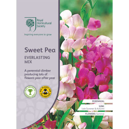 Rhs Sweet Pea Everlasting Mix Seerhsspe - Garden Express Australia