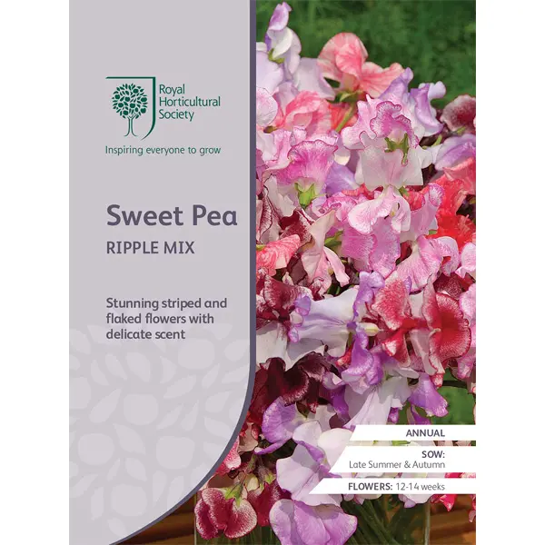 Seed – Rhs Sweet Pea Ripple Mix