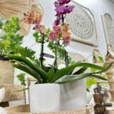 Planter Pot – Orchid White Large