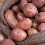 Certified Seed Potato Desiree 500g