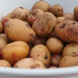 Potato King Edward Pkcspked 2025 - Garden Express Australia