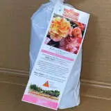 Delbard Rose Edgar Degas Delbard Rose Edgar Degas