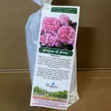 Delbard Rose Parfum De Paris Delbard Rose Parfum De Paris