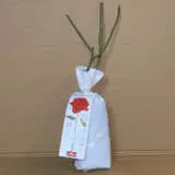 Delbard Rose Red Intuition Delbard Rose Red Intuition