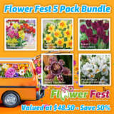 Flower Fest Last Chance 5 Assorted Spring Bulb Packs