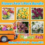Flower Fest Last Chance 5 Assorted Spring Bulb Packs Flower Fest Last Chance 5 Assorted Spring Bulb Packs