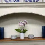 Orchid Phalaenopsis- Mini Double Stem White And Pink Orchid Phalaenopsis- Mini Double Stem White And Pink