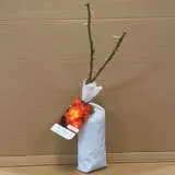 Rose Bee Scene Rose Bee Scene