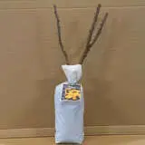 Rose Confetti Rose Confetti