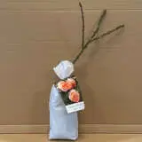 Rose Heaven On Earth Rose Heaven On Earth