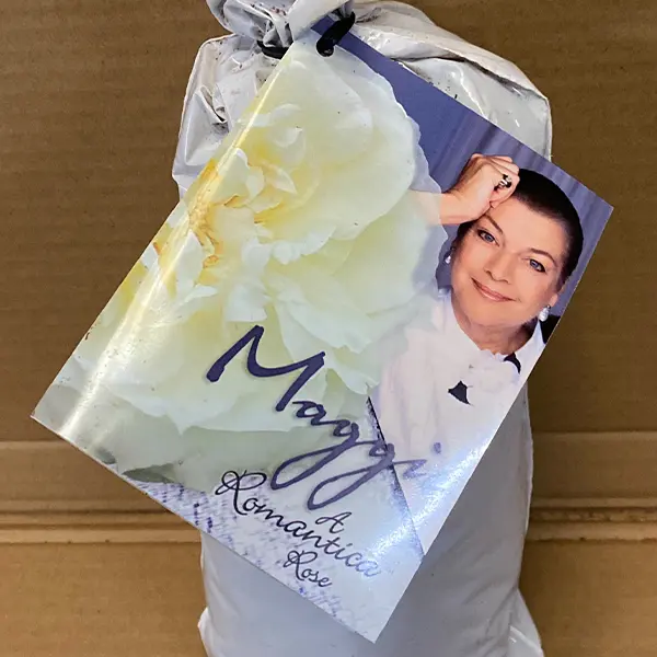 Rose Maggie Rose Maggie