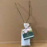 David Austin Rose Emily Bronte David Austin Rose Emily Bronte