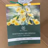 David Austin Rose Tottering By Gently David Austin Rose Tottering By Gently