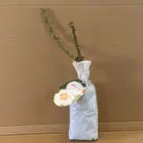 Rose Smiling Eyes Rose Smiling Eyes