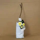 Rose Graham Ross Am Rose Graham Ross Am