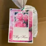 Rose My Hero Rose My Hero