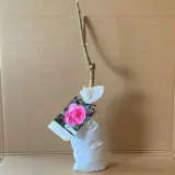 Rose Sweet Memory Rose Sweet Memory