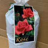 Rose Ballet Rose Ballet