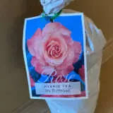 Rose Ita Buttrose Rose Ita Buttrose