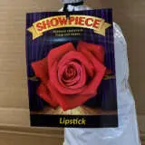 Rose Showpiece Lipstick (pbr) Rose Showpiece Lipstick (pbr)