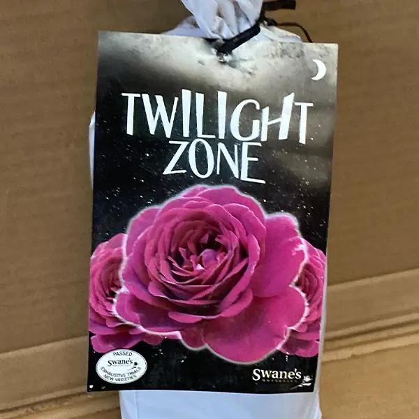Rose Twilight Zone