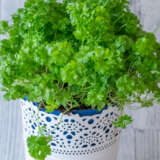 Herb Collection 2