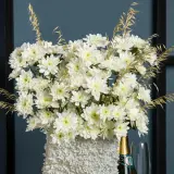 Chrysanthemum Pastela Cava Chrysanthemum Pastela Cava